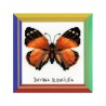 Riolis Kit de broderie Papillon Nymphalidés