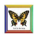 Riolis Kit de broderie Papillon machaon
