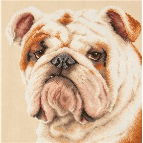 Embroidery kit Bulldog