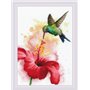 Riolis Embroidery kit Hummingbird